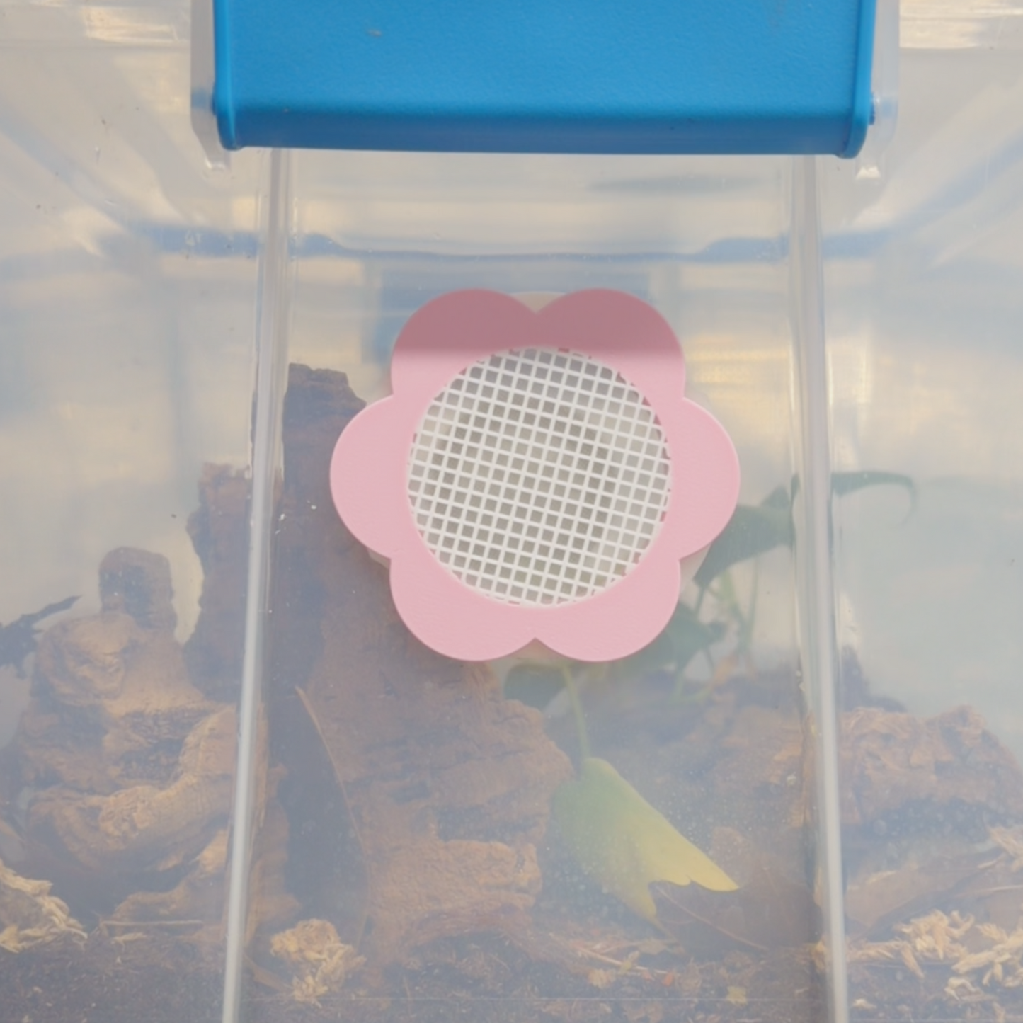 Flower Shaped Ventilation Reptile & Isopod Ventilation - Built in Micro Mesh - Multiple Colors /Sizes - Reusable