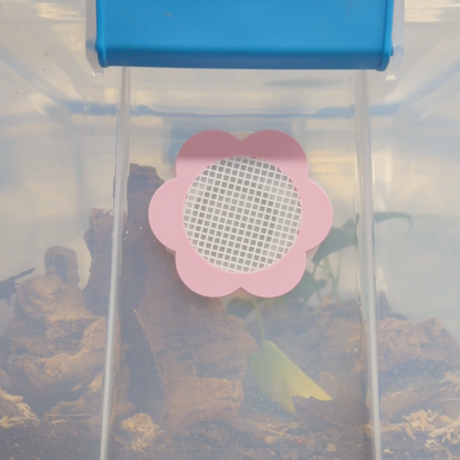 Flower Shaped Ventilation Reptile & Isopod Ventilation - Built in Micro Mesh  - Multiple Colors /Sizes - Reusable