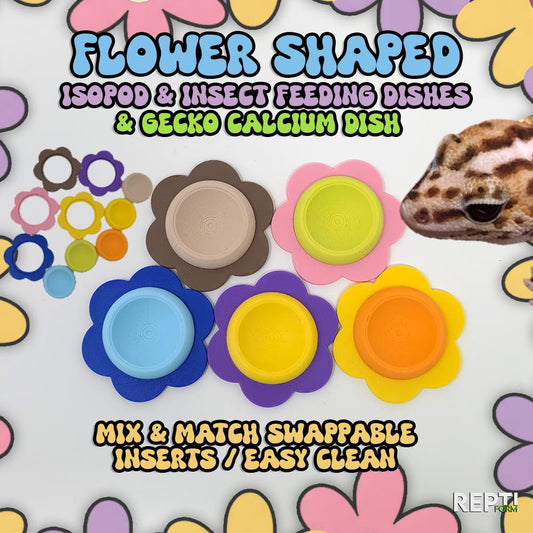 FLOWER Isopod Food/Water Bowl | Gecko Calcium Dish | 5 PACK | Mix & Match inserts!