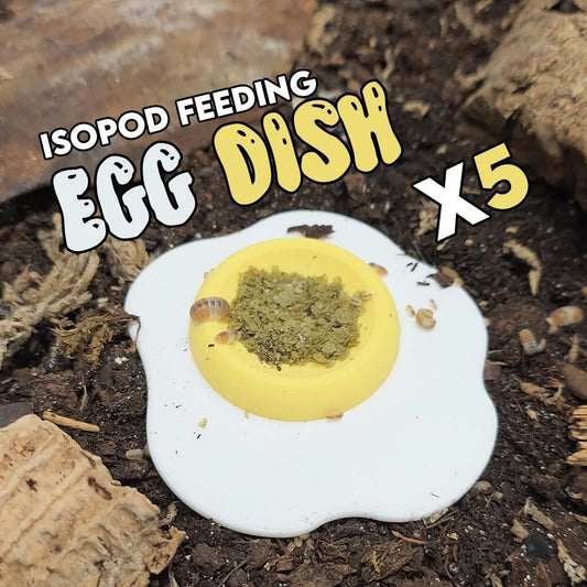 EGG SPLAT | 5 PACK | Isopod Food/Water Bowl | Gecko Calcium Dish | Easy-Clean inserts!
