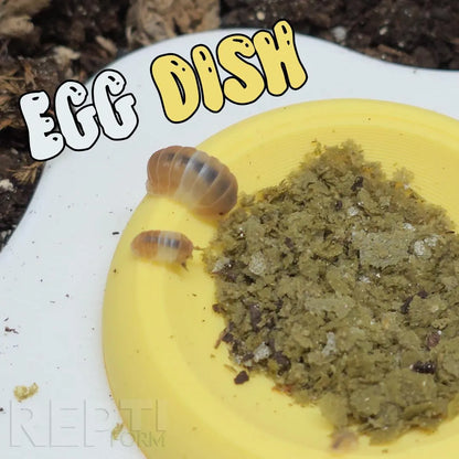 EGG SPLAT | 5 PACK | Isopod Food/Water Bowl | Gecko Calcium Dish | Easy-Clean inserts!