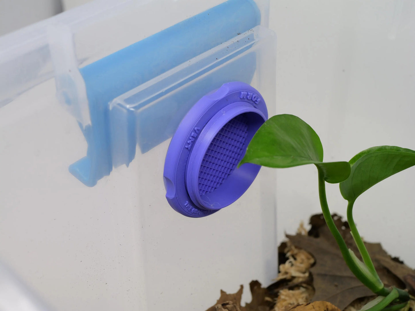 Standard Ventilation for Reptile / Insects | Built In MICRO MESH | Perfect For Jumping Spiders & Isopods | Tons Of Colors & Sizes| Easy To Install