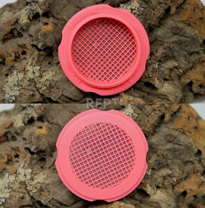 Standard Ventilation for Reptile / Insects | Built In MICRO MESH | Perfect For Jumping Spiders & Isopods | Tons Of Colors & Sizes| Easy To Install